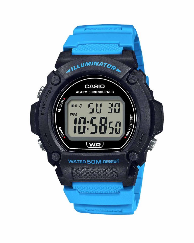 ساعت مچی مردانه کاسیو CASIO W-219H-2A2V