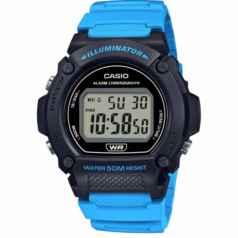 ساعت مچی مردانه کاسیو CASIO W-219H-2A2V