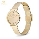 ساعت مچی زنانه دنیل ولینگتون کلاسیک DANIEL WELLINGTON DW00100797