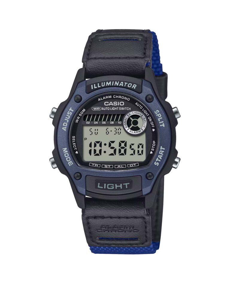 ساعت مچی مردانه کاسیو بند نیتو CASIO W-220HF-2AV
