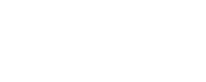 NAVIFORCE